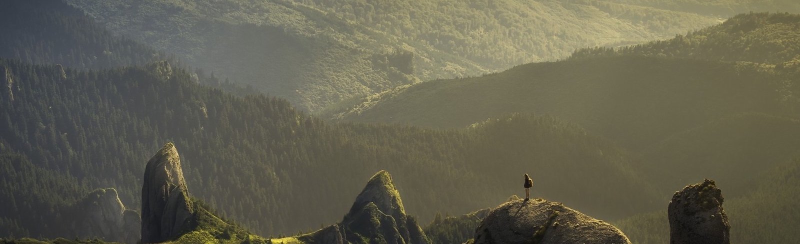 Empower Others--Soar to Success