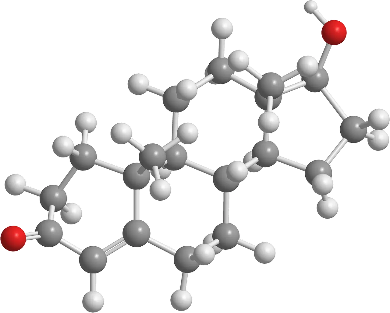 Debunking the Myths: Understanding Testosterone Philosophy testosterone-2901425_1280